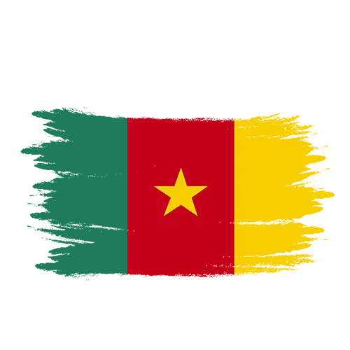 صادرات به کامرون